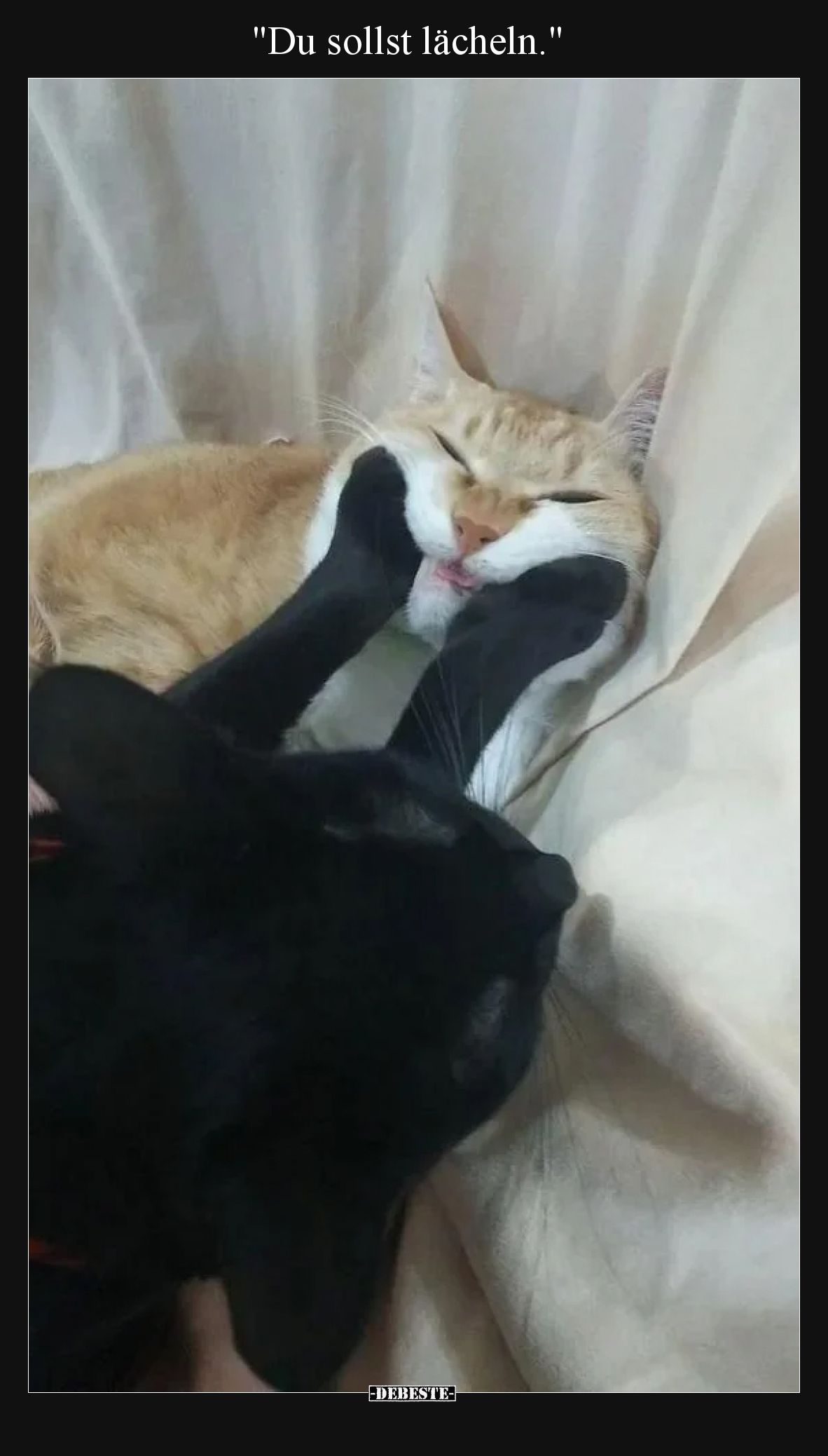 Du sollst lächeln.