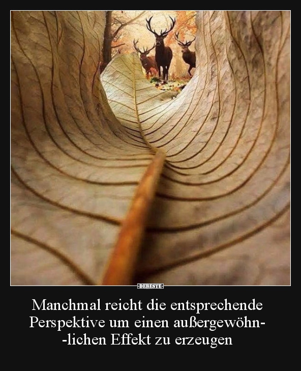 Manchmal reicht die entsprechende Perspektive um einen.. - Lustige Bilder | DEBESTE.de