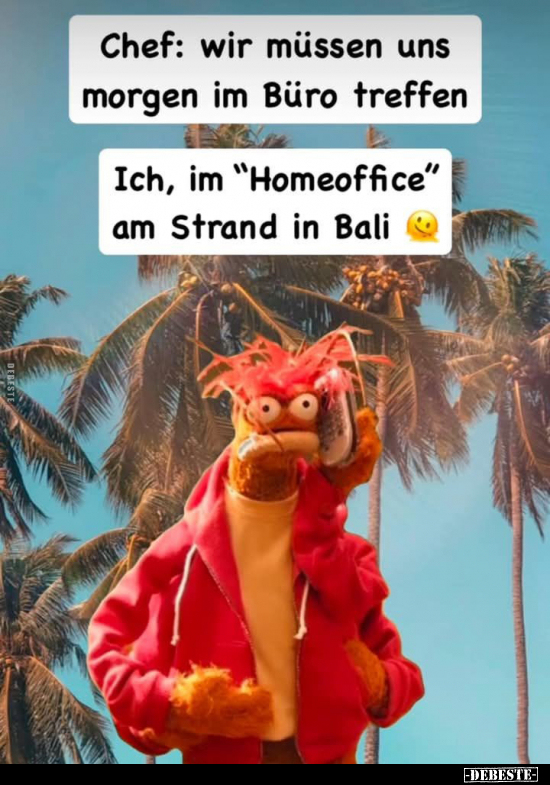 Chef, Morgen, Büro, Treffen, Am Strand, Strand