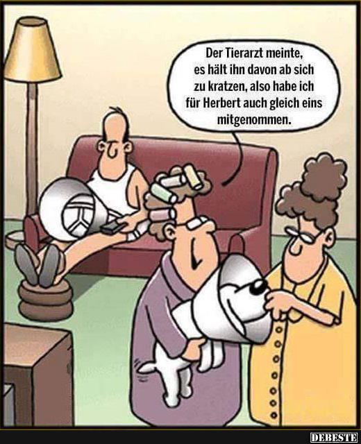 Der Tierarzt meine, es hält ihn davon.. - Lustige Bilder | DEBESTE.de