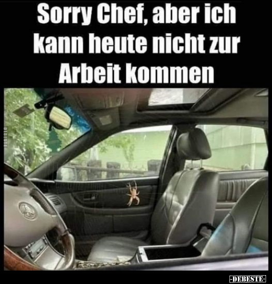 Sorry Chef, aber ich kann heute nicht zur Arbeit kommen.. - Lustige Bilder | DEBESTE.de