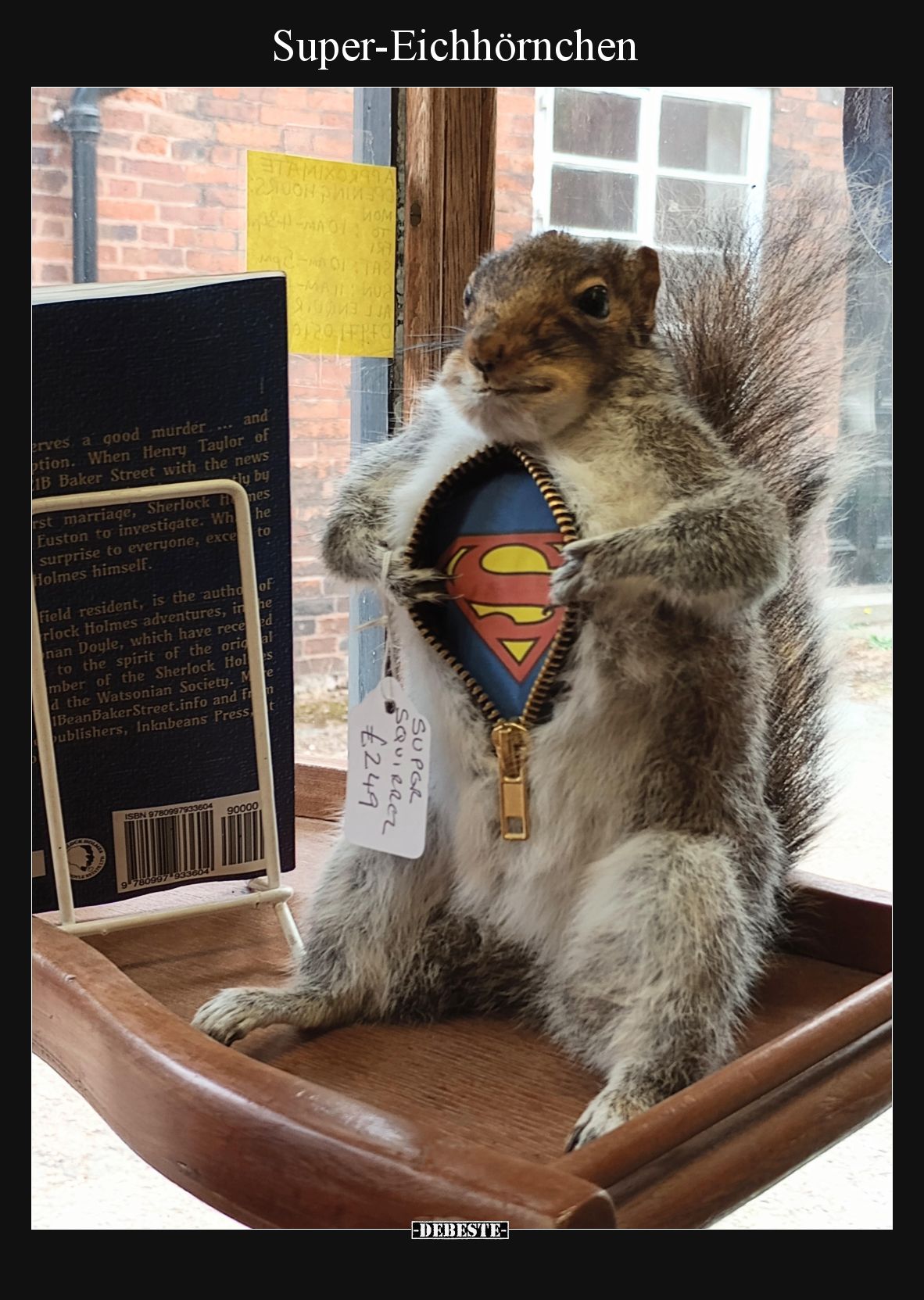 Super-Eichhörnchen