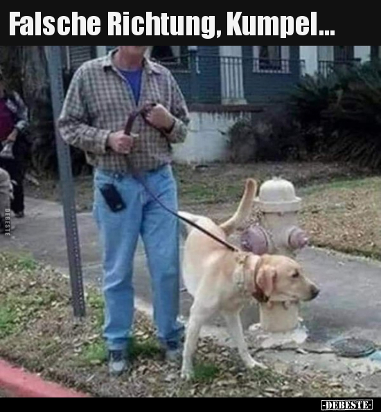 Falsche Richtung, Kumpel...