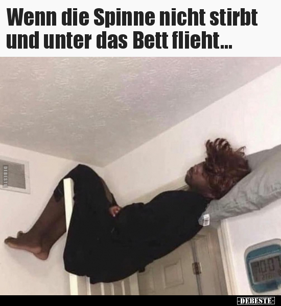 Wenn die Spinne nicht stirbt und unter das Bett.. - Lustige Bilder | DEBESTE.de