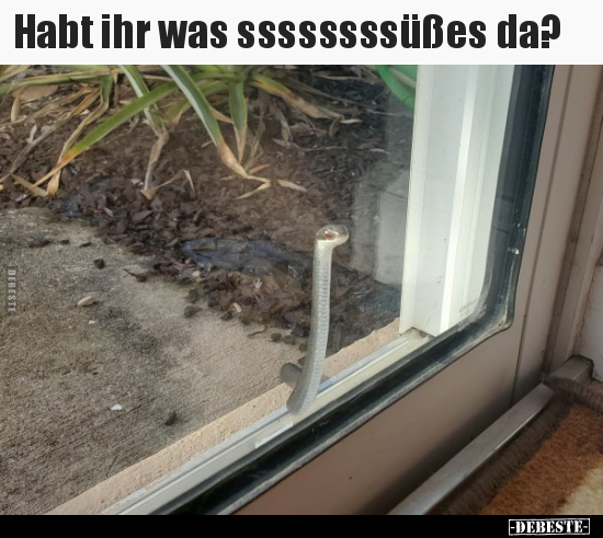 Habt ihr was ssssssssüßes da?