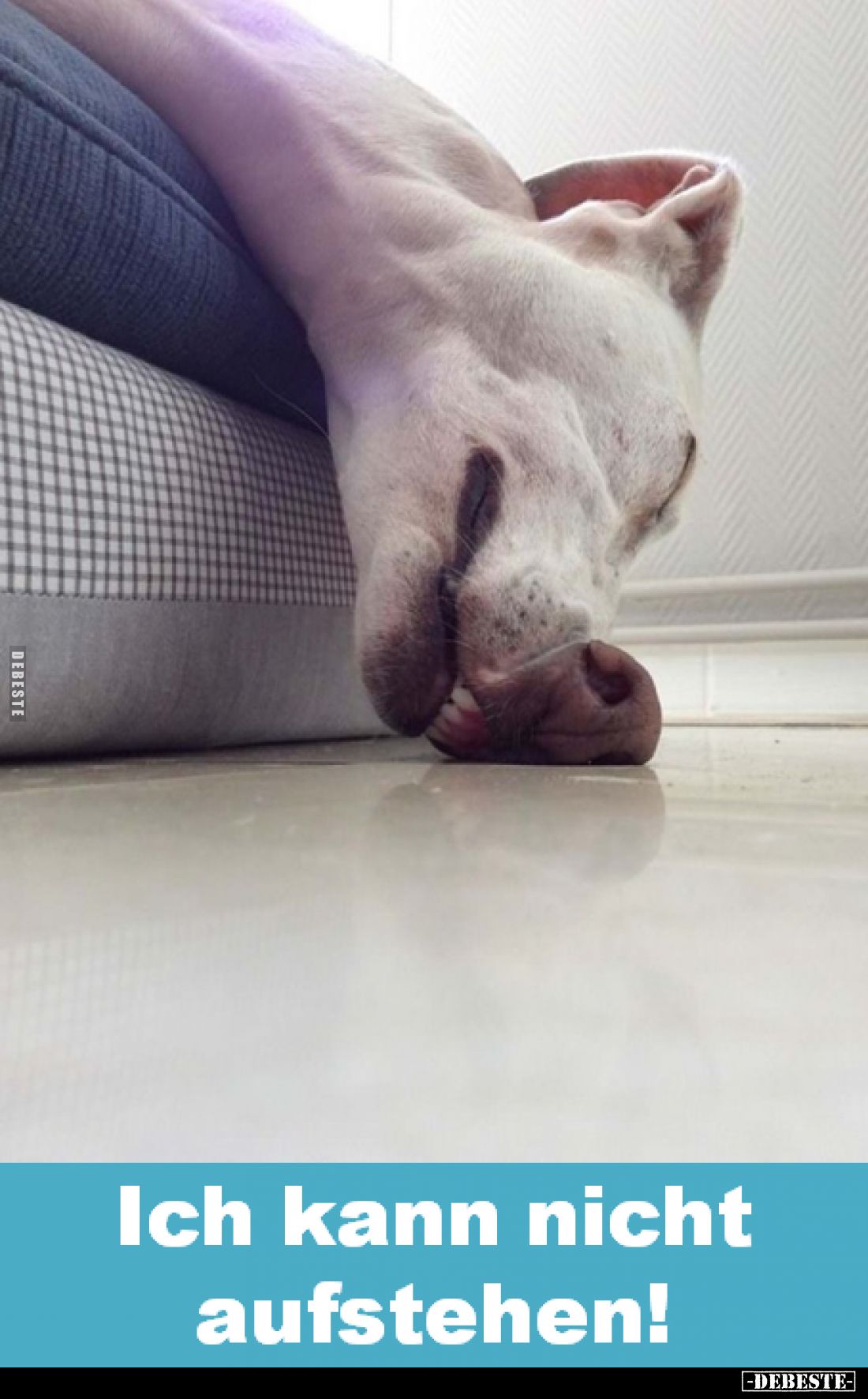Ich kann nicht aufstehen!