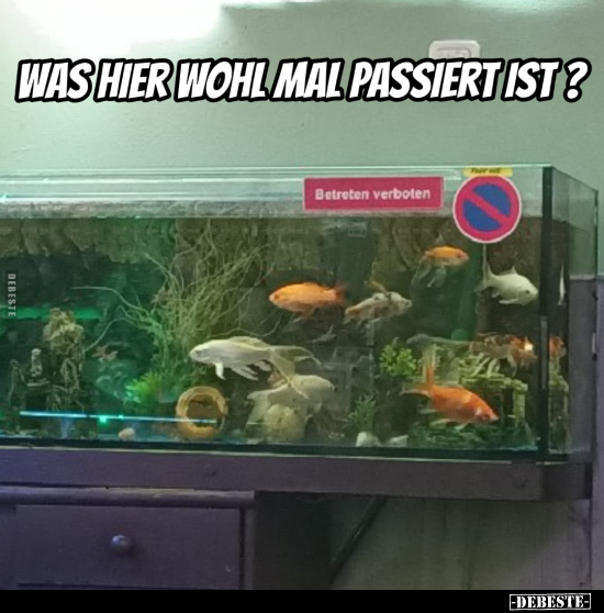 Was hier wohl mal passiert ist?.. - Lustige Bilder | DEBESTE.de