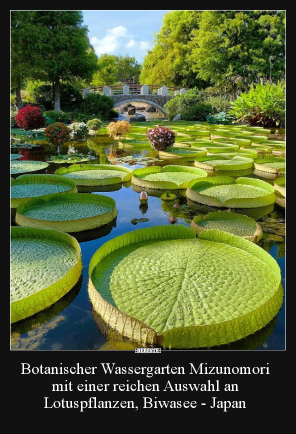 Botanischer Wassergarten Mizunomori mit einer reichen..