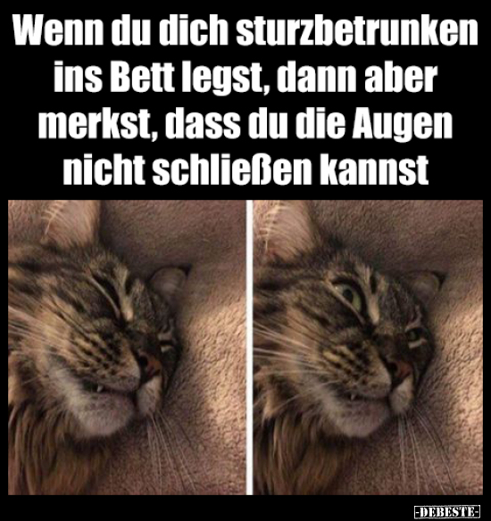 Wenn du dich sturzbetrunken ins Bett legst, dann aber.. - Lustige Bilder | DEBESTE.de