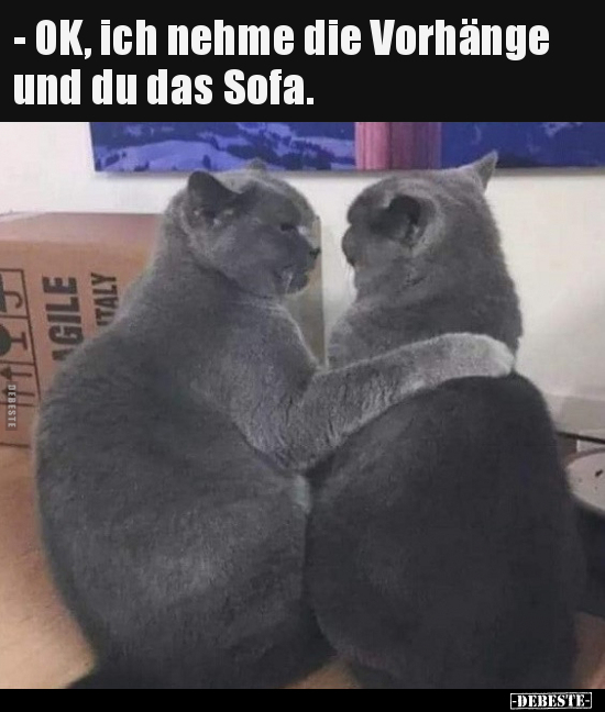 - OK, ich nehme die Vorhänge und du das Sofa... - Lustige Bilder | DEBESTE.de