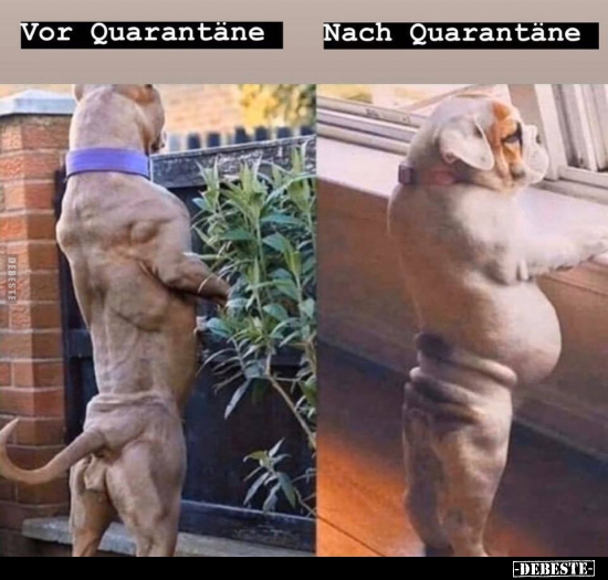 Vor Quarantäne / Nach Quarantäne..