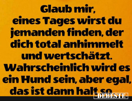  - Lustige Bilder | DEBESTE.de