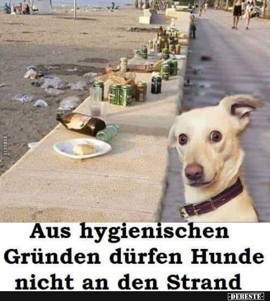 Aus hygienischen Gründen dürfen Hunde nicht an den Strand.. - Lustige Bilder | DEBESTE.de