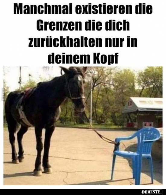  - Lustige Bilder | DEBESTE.de