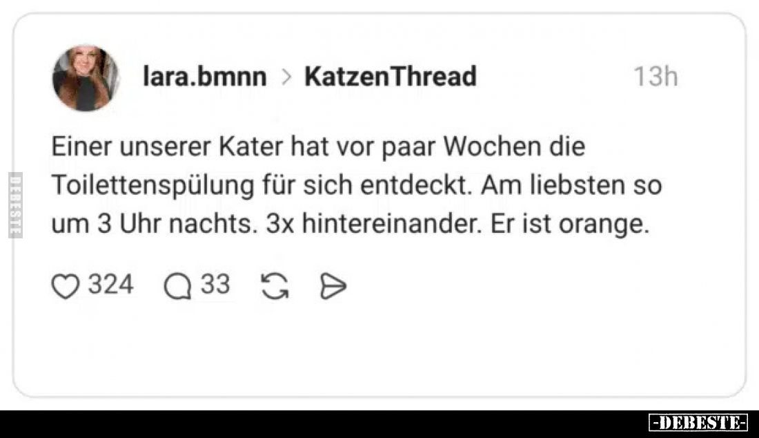 Einer unserer Kater hat vor paar Wochen die Toilettenspülung für sich entdeckt.
Am liebsten so um 3 Uhr nachts.
3x hinterei...