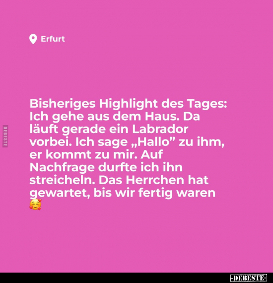 Des Tages, Tages, Haus, Läuft, Labrador