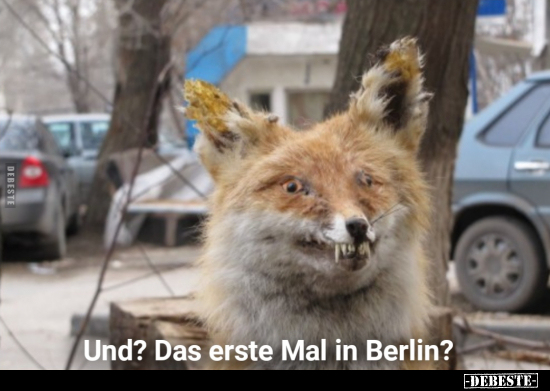 Und? Das erste Mal in Berlin?.. - Lustige Bilder | DEBESTE.de