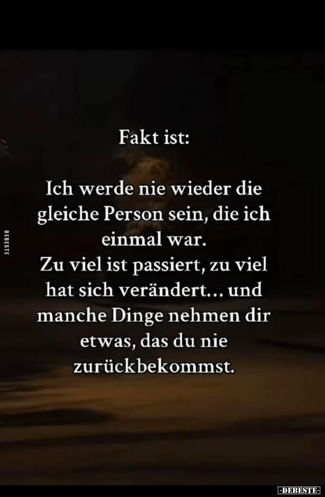 Fakt ist:
Ich werde nie wieder die gleiche Person sein, die ich einmal war.
Zu viel ist passiert, zu viel hat sich veränder...