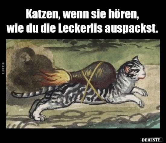 Katzen, wenn sie hören, wie du die Leckerlis auspackst...