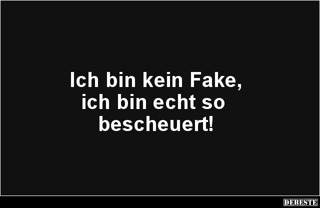 Ich bin kein Fake, ich bin echt so bescheuert! - Lustige Bilder | DEBESTE.de