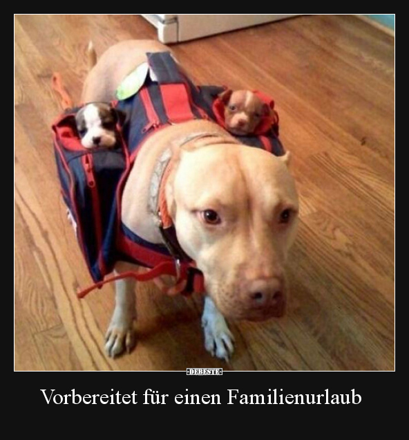 Vorbereitet für einen Familienurlaub.. - Lustige Bilder | DEBESTE.de
