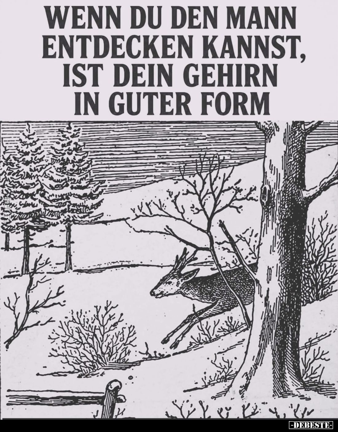 Wenn du den Mann entdecken kannst... - Lustige Bilder | DEBESTE.de
