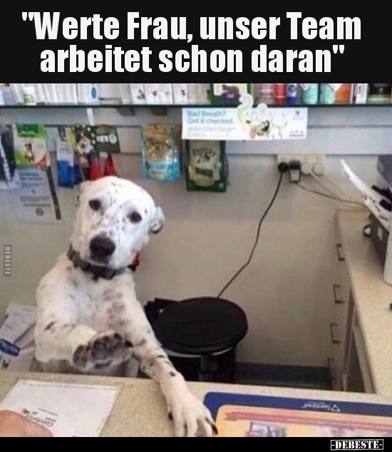 "Werte Frau, unser Team arbeitet schon daran"..