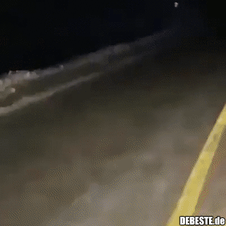 Dieser gigantische Wolf..