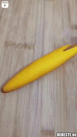  - Lustige Bilder | DEBESTE.de