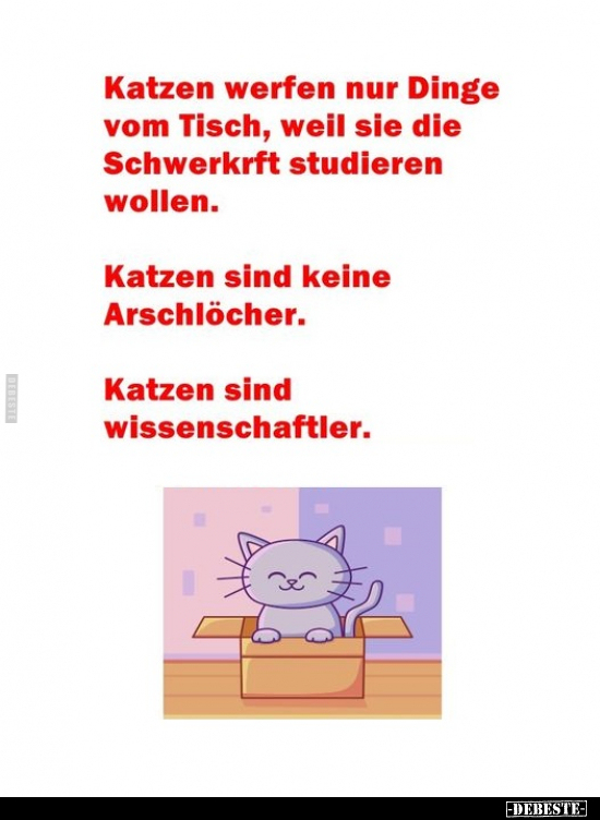 Katzen werfen nur Dinge vom Tisch, weil sie die Schwerkrft.. - Lustige Bilder | DEBESTE.de