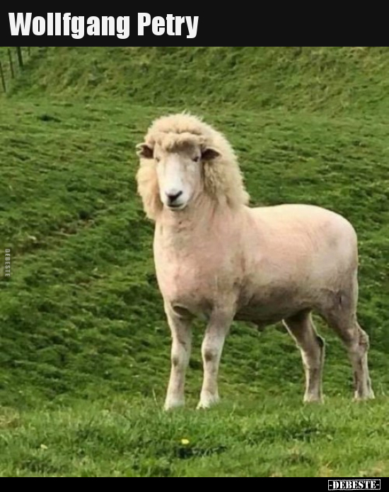 Wollfgang Petry..