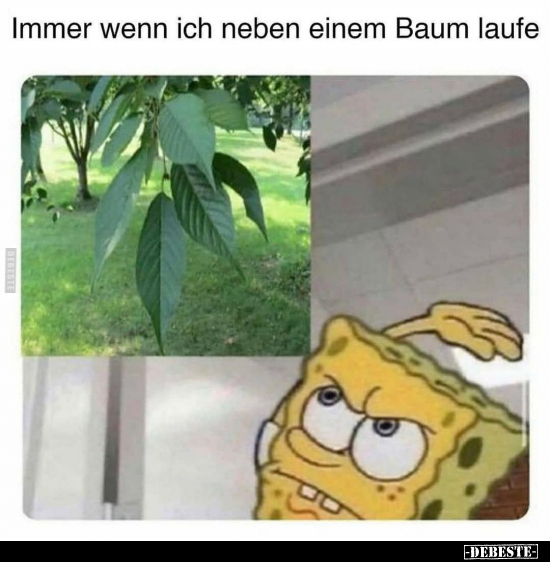 Immer wenn ich neben einem Baum laufe..
