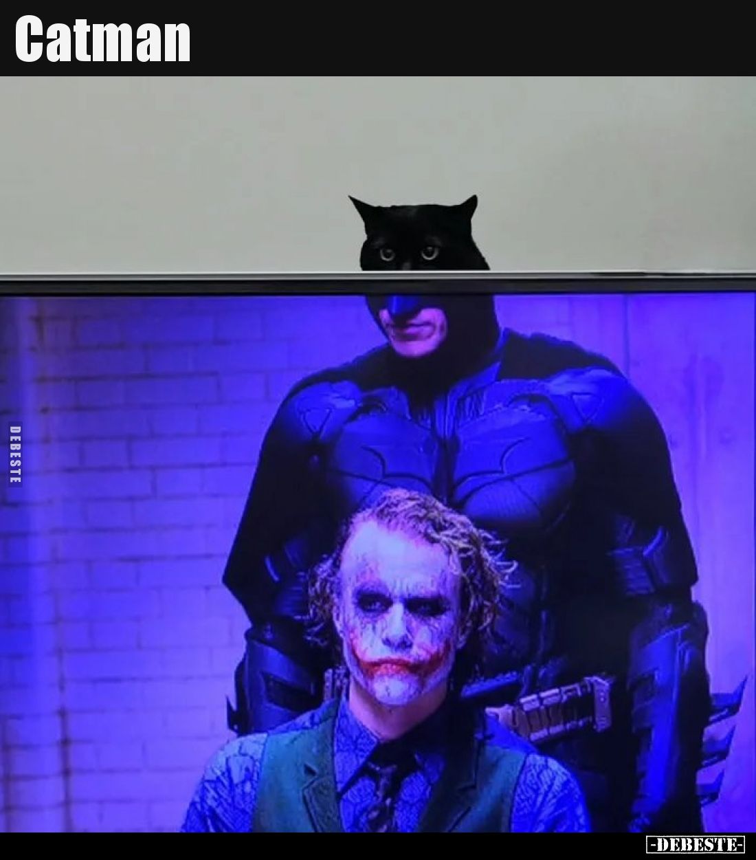 Catman.. - Lustige Bilder | DEBESTE.de