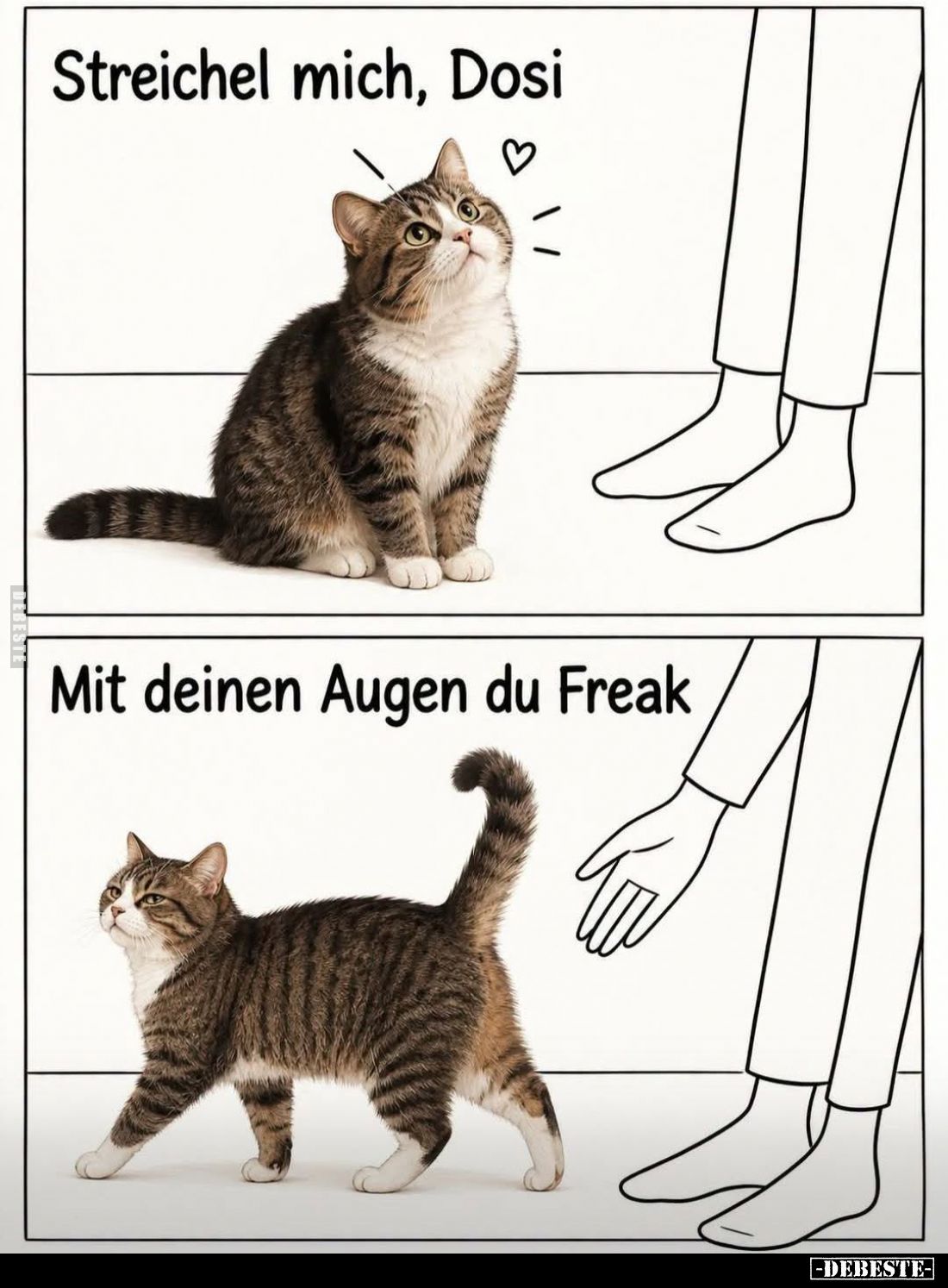 Streichel mich, Dosi.
-
Mit deinen Augen du Freak.