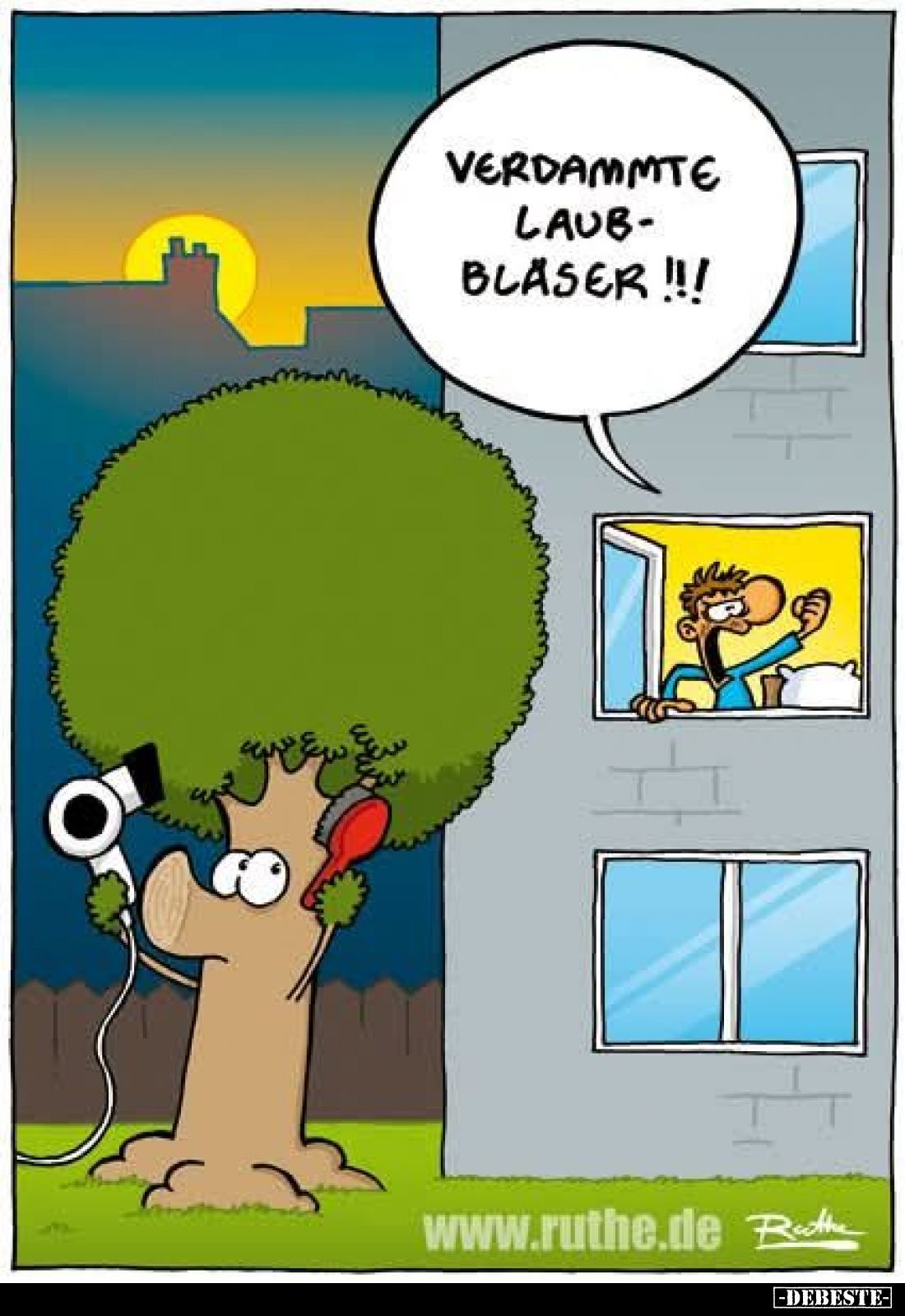 Verdammte Laubbläser !!!