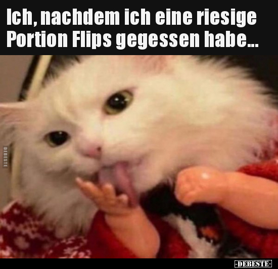 Ich, nachdem ich eine riesige Portion Flips gegessen..