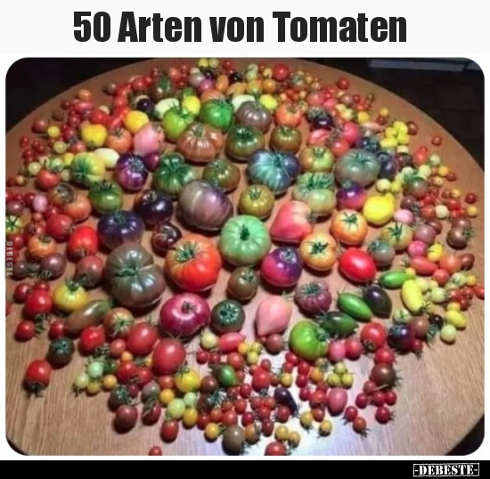 50 Arten von Tomaten.. - Lustige Bilder | DEBESTE.de