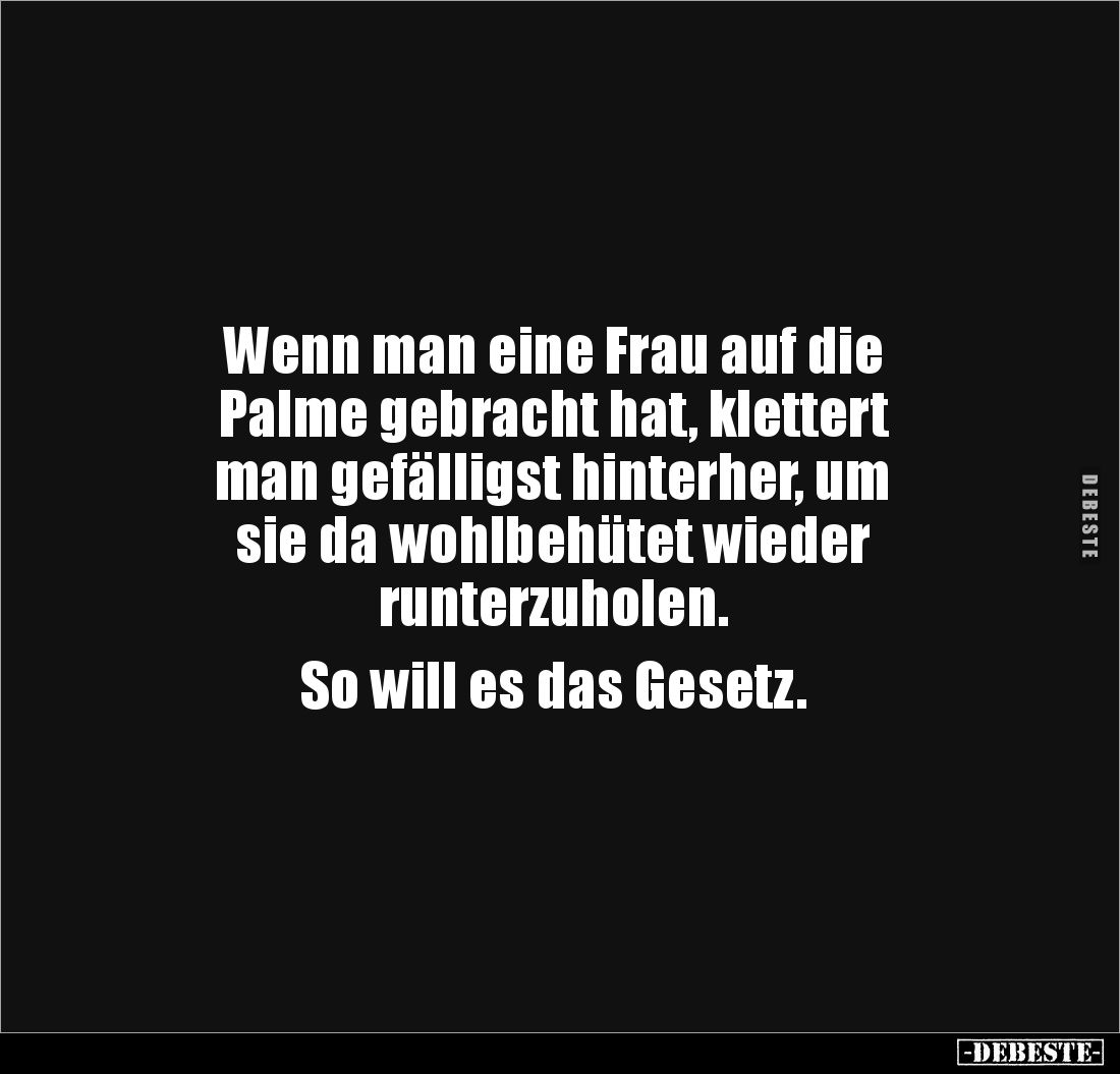 Wenn man eine Frau auf die 
Palme gebracht hat, klettert 
man gefälligst hinterher, um 
sie da wohlbehütet wieder 
runter...