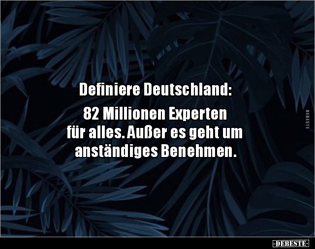 Definiere Deutschland: 82 Millionen Experten für.. - Lustige Bilder | DEBESTE.de