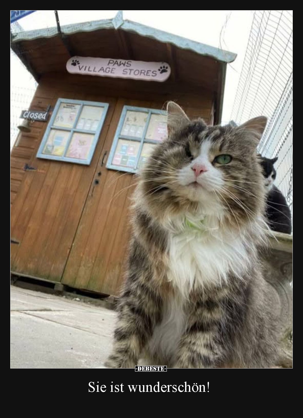 Sie ist wunderschön!