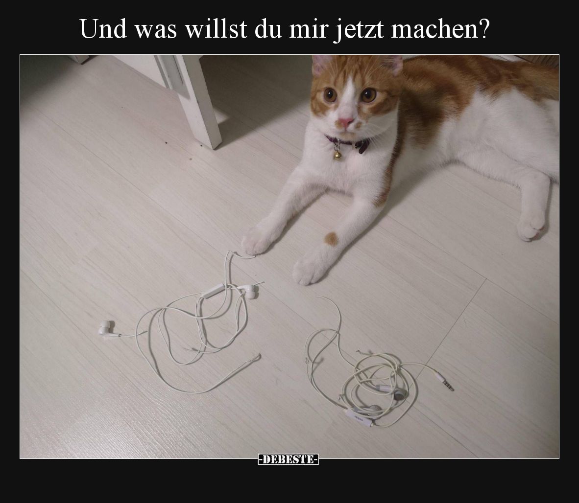 Und was willst du mir jetzt machen?