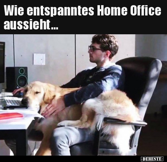 Wie entspanntes Home Office aussieht... - Lustige Bilder | DEBESTE.de