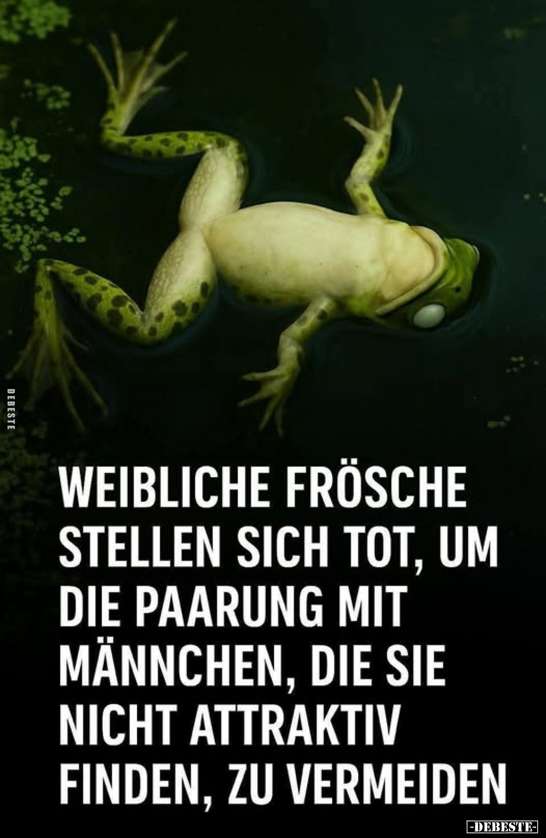 Weibliche Frösche stellen sich tot, um die Paarung mit Männchen, die sie nicht attraktiv finden, zu vermeiden.