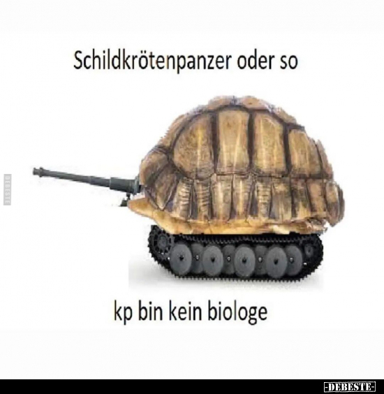 Schildkrötenpanzer oder so.. - Lustige Bilder | DEBESTE.de