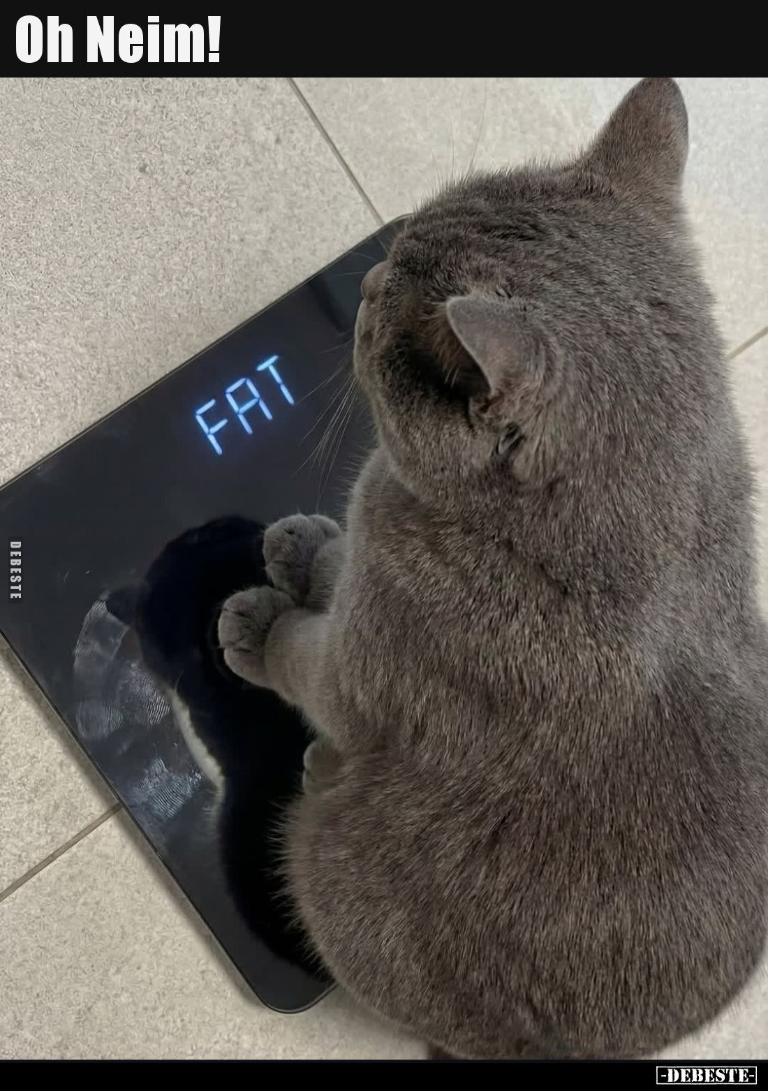 Oh Neim!.. - Lustige Bilder | DEBESTE.de