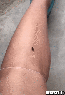 Die Technik Thaddäus..