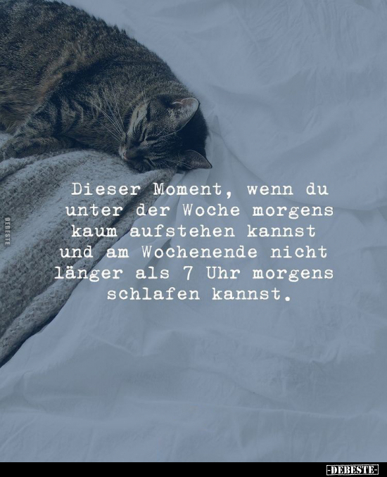 Dieser Moment, wenn du unter der Woche morgens kaum.. - Lustige Bilder | DEBESTE.de