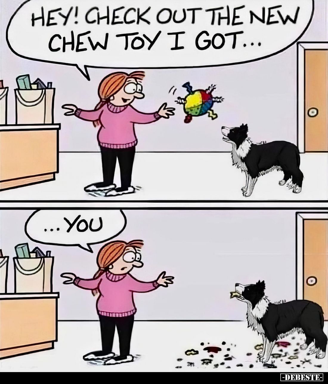 Hey! Check out the new chew toy I got... you.
