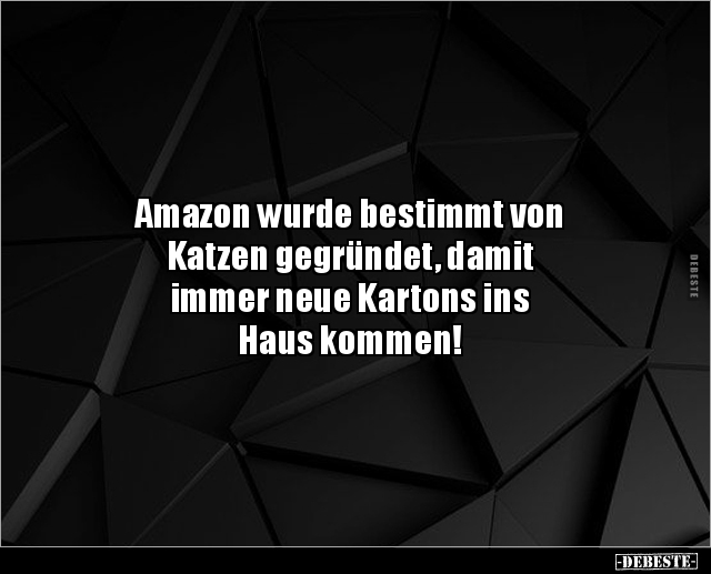 Amazon wurde bestimmt von Katzen gegründet, damit.. - Lustige Bilder | DEBESTE.de