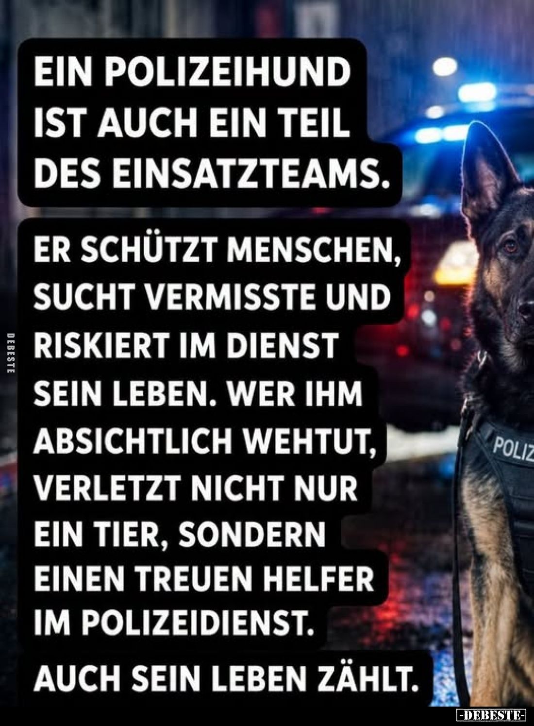 Ein Polizeihund ist auch ein Teil des Einsatzteams.
Er schützt Menschen, sucht Vermisste und riskiert im Dienst sein Leben. ...